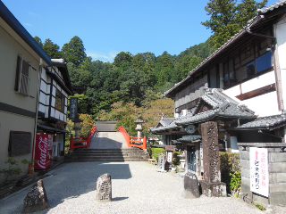 イメージ 6