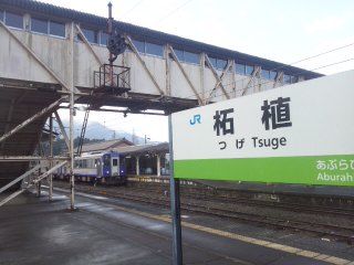 イメージ 6