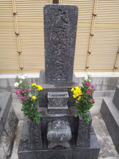 イメージ 3
