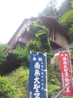 イメージ 7