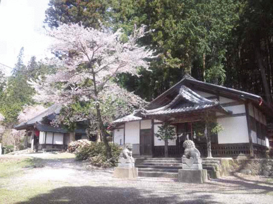 イメージ 17