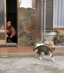 イメージ 1