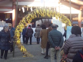 イメージ 6