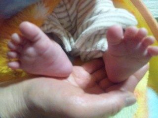 イメージ 3