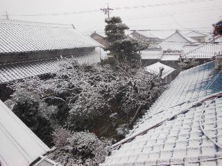 イメージ 4