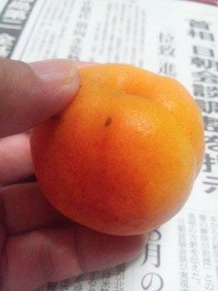 イメージ 1