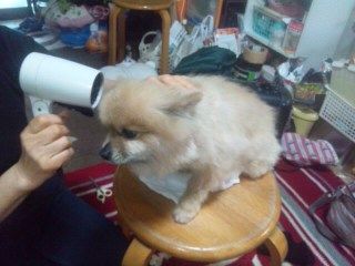 イメージ 4