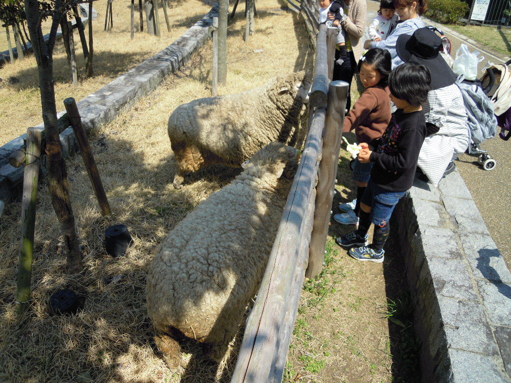 イメージ 1