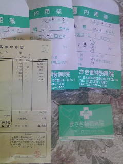 イメージ 1
