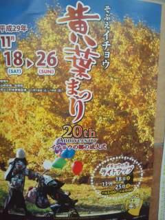 イメージ 7