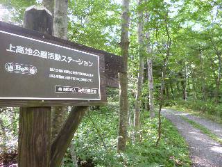 イメージ 7