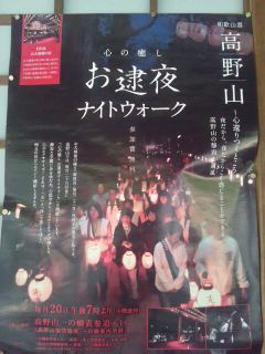 イメージ 7