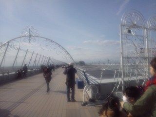イメージ 7