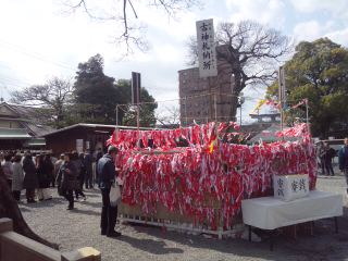 イメージ 9