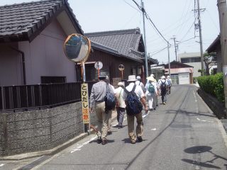 イメージ 7