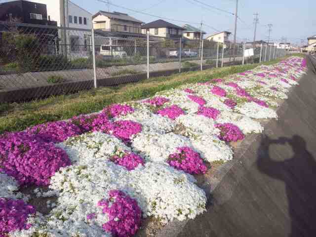 イメージ 4