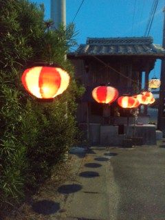 イメージ 8