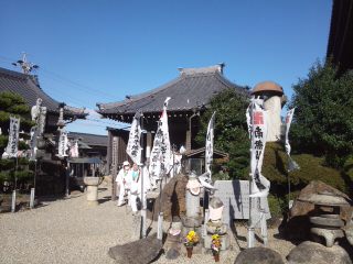 イメージ 7