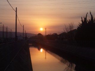 イメージ 5