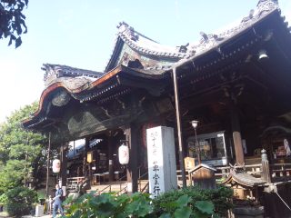 イメージ 7