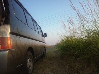 イメージ 7