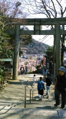 イメージ 2
