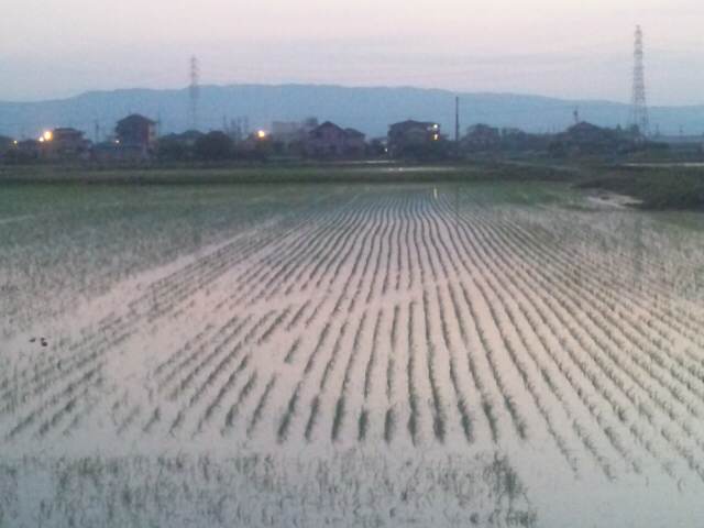 イメージ 1