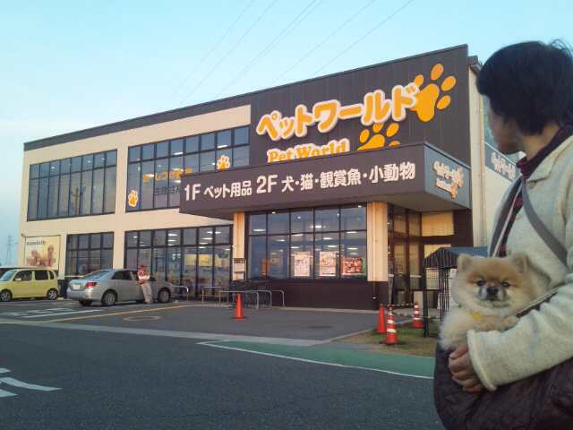 イメージ 6