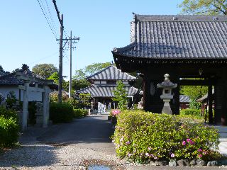 イメージ 4