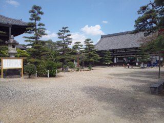 イメージ 5