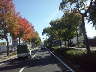 イメージ 8