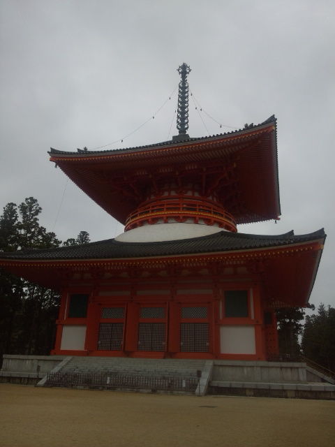 イメージ 6
