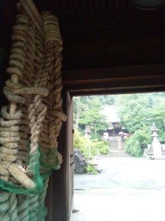イメージ 5