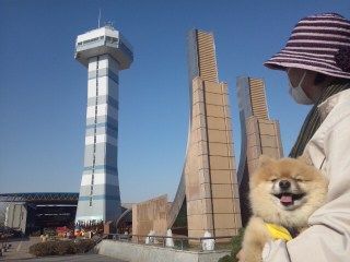 イメージ 6