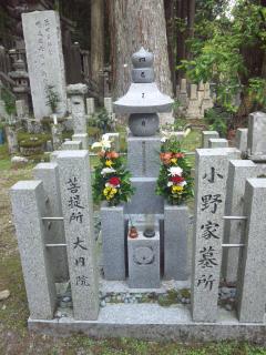 イメージ 7