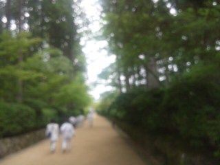 イメージ 10