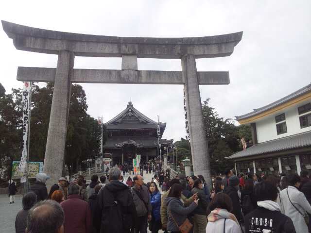イメージ 7
