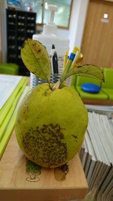 イメージ 3