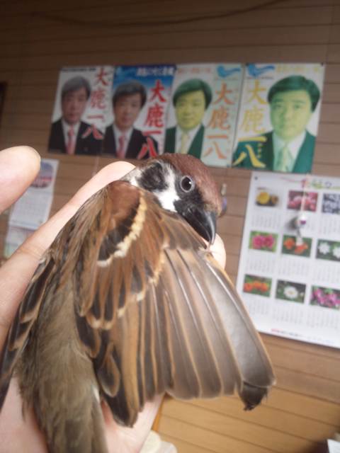 イメージ 1