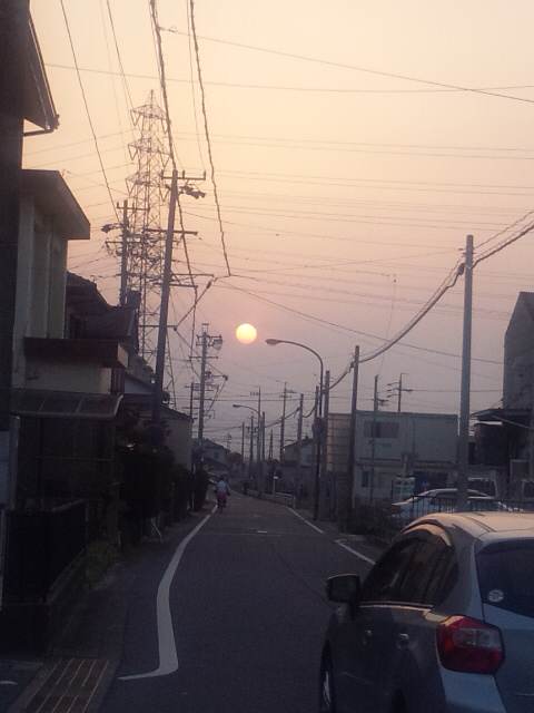 イメージ 7