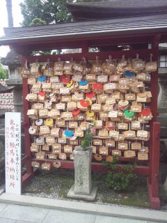 イメージ 5