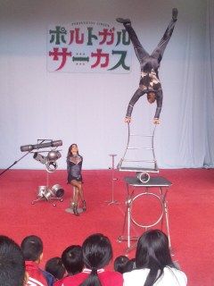 イメージ 5
