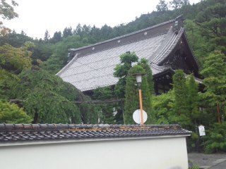 イメージ 12
