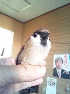 イメージ 2