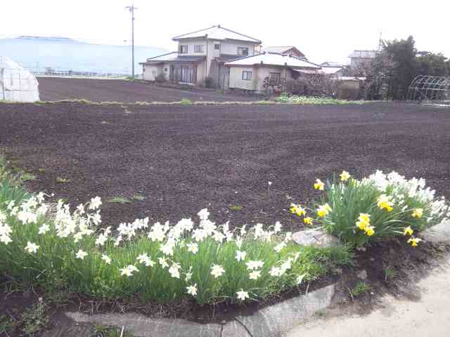 イメージ 5