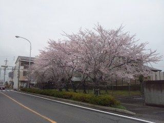 イメージ 7