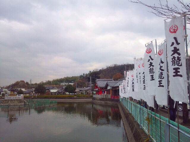 イメージ 5