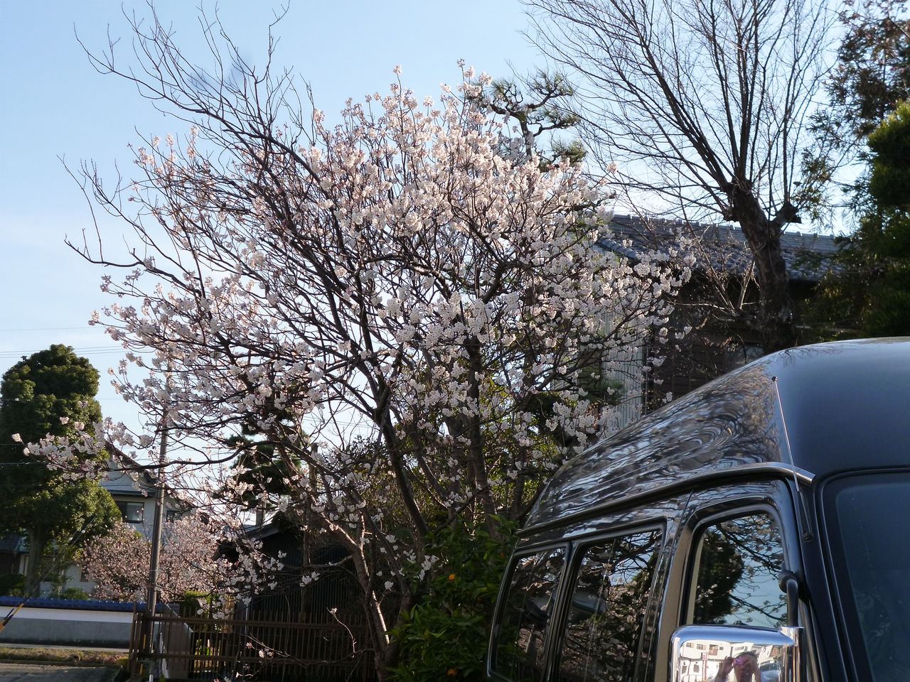 イメージ 1