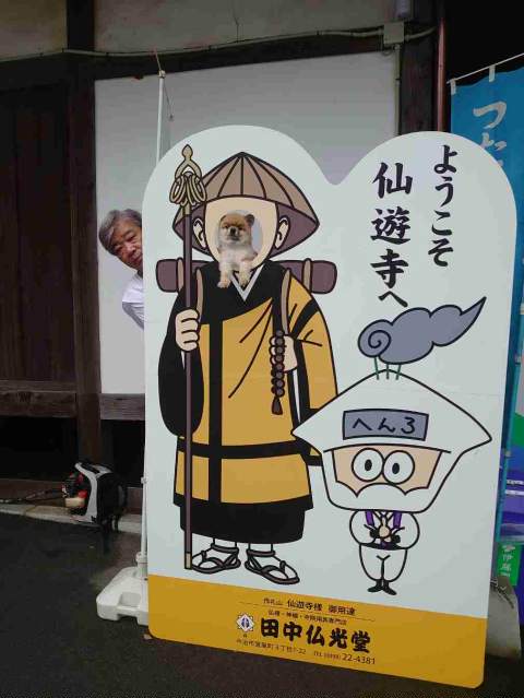 イメージ 3