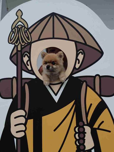イメージ 2